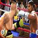 Real Boxing 2 Rocky mod apk