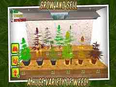 Weed Shop The Game Apk Android