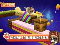 Kitty in the Box Apk Mod Download