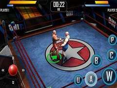 Real Wrestling 3D Android Game Mod