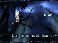 Download Owl's Midnight Journey Mod Apk