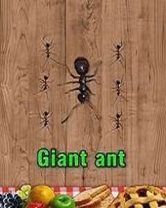 Mod Apk Ant Smasher Best Free Game Apk Mod