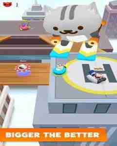Bumper Cats android